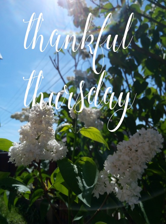 thankful thursday