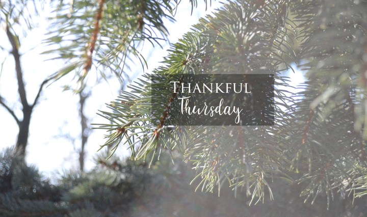 Thankful Thursday