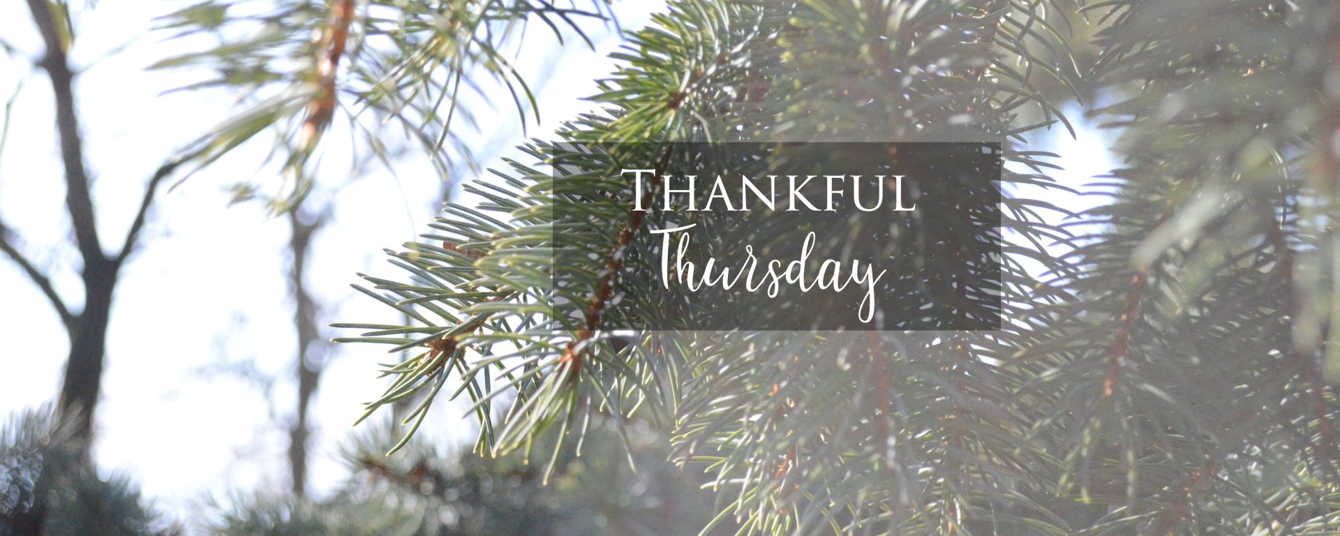 Thankful Thursday