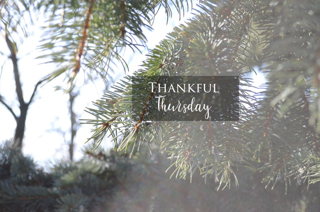 Thankful Thursday
