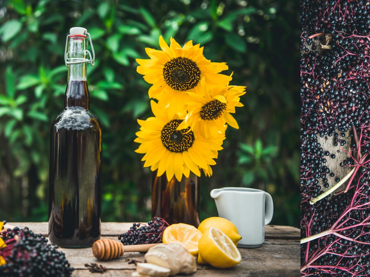 Fűszeres Bodzabogyó Szirup, A Legfinomabb&nbsp;Orvosság