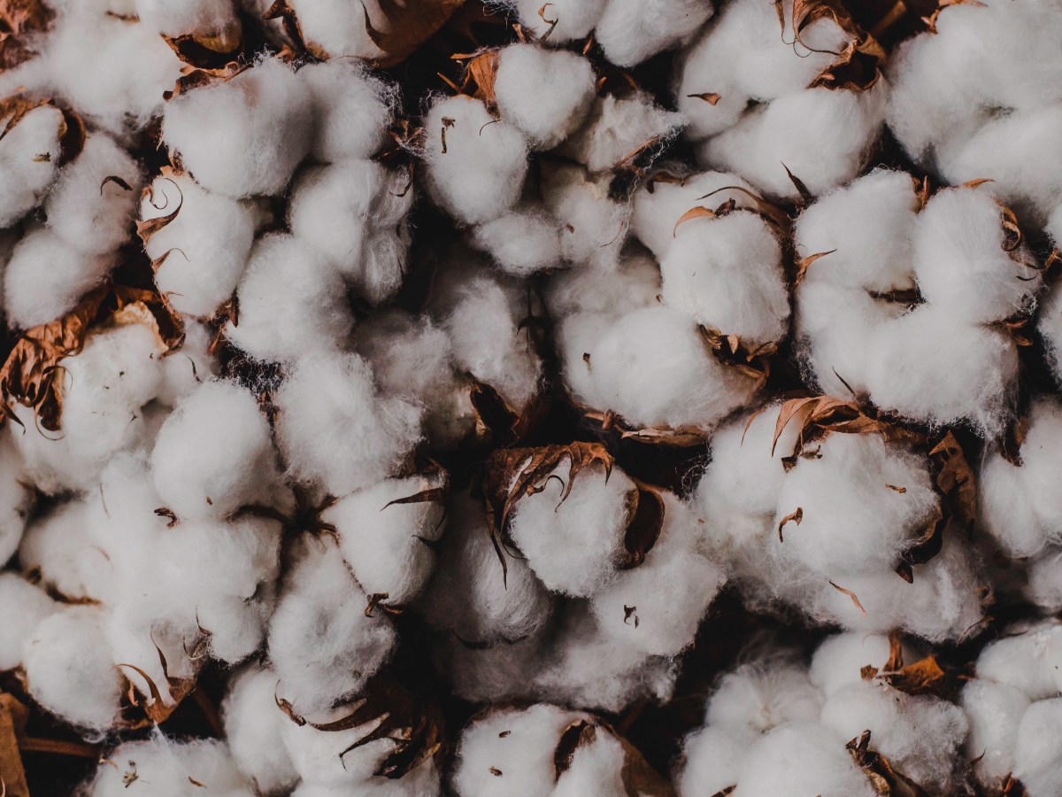 Kedvenc stresszkezelési módszereim