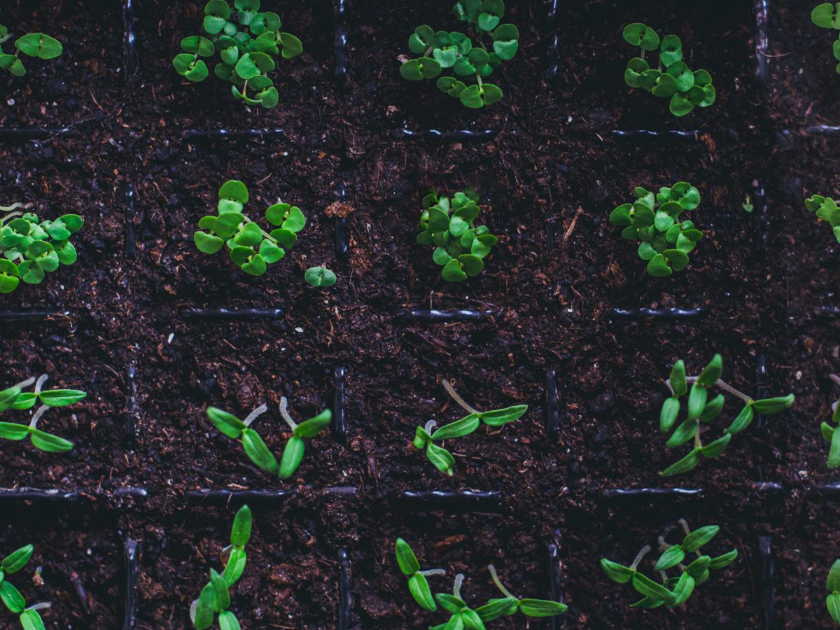 Mit vessünk februárban?