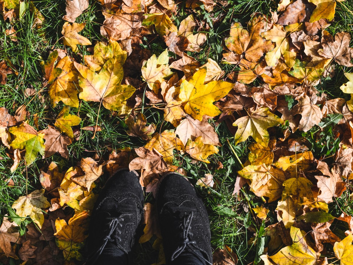 5 egyszerű, egészségtámogató tipp az őszi&nbsp;időszakra🍁