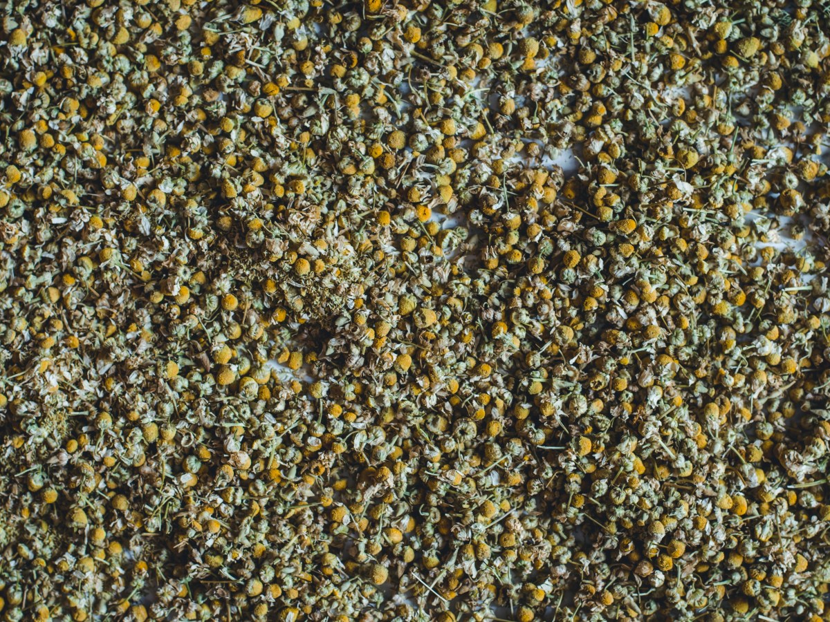 2023 októberi kedvencek