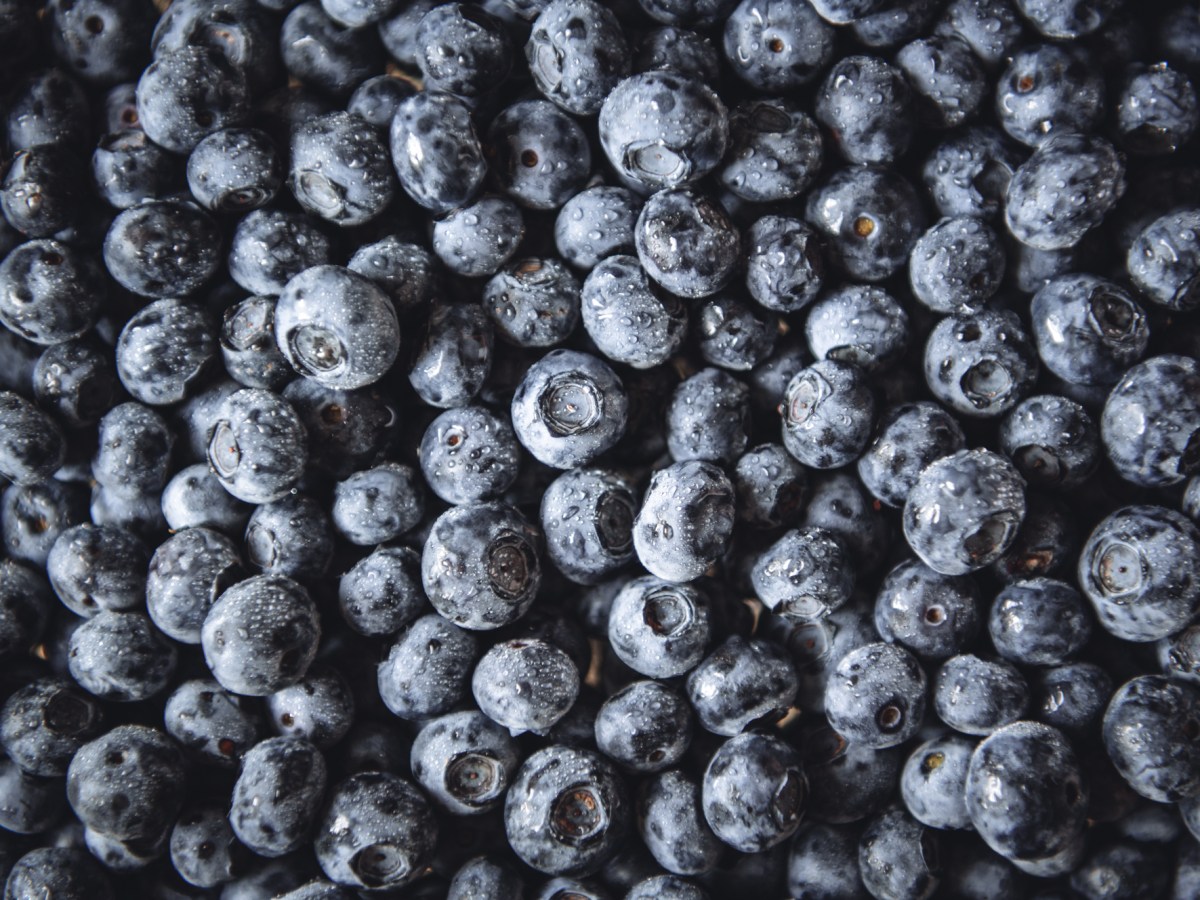 Házi áfonyadzsem pektinnel