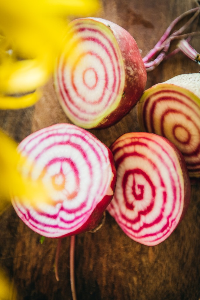 friss szüret a kertből: látványos csíkos cékla